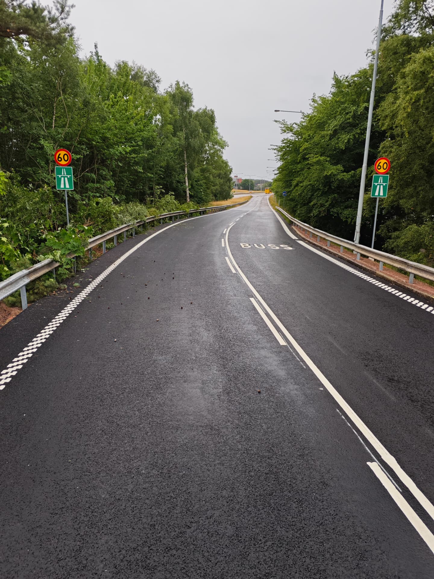 Nymålad bussfil och vägmarkering på landsväg